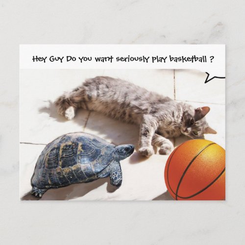 CAT TURTLE  AND BASKETBALL POSTCARD