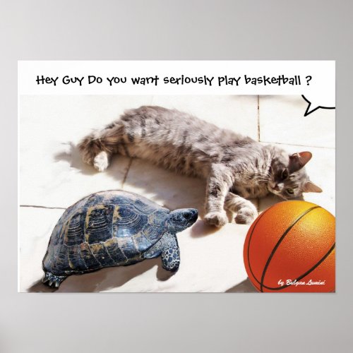 CAT TURTLE  AND BASKETBALL POSTER