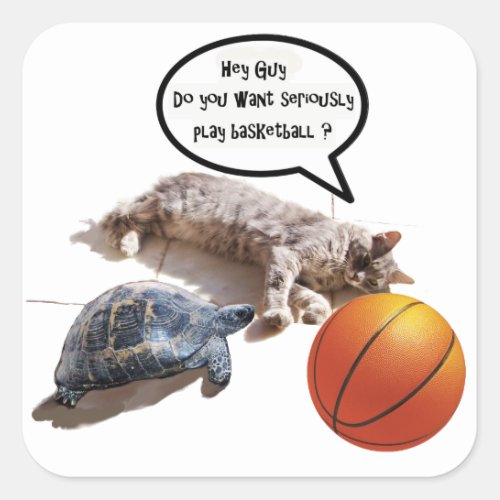 CAT TURTLE AND BASKETBALL SQUARE STICKER
