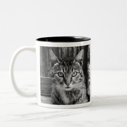 cat Two_Tone coffee mug