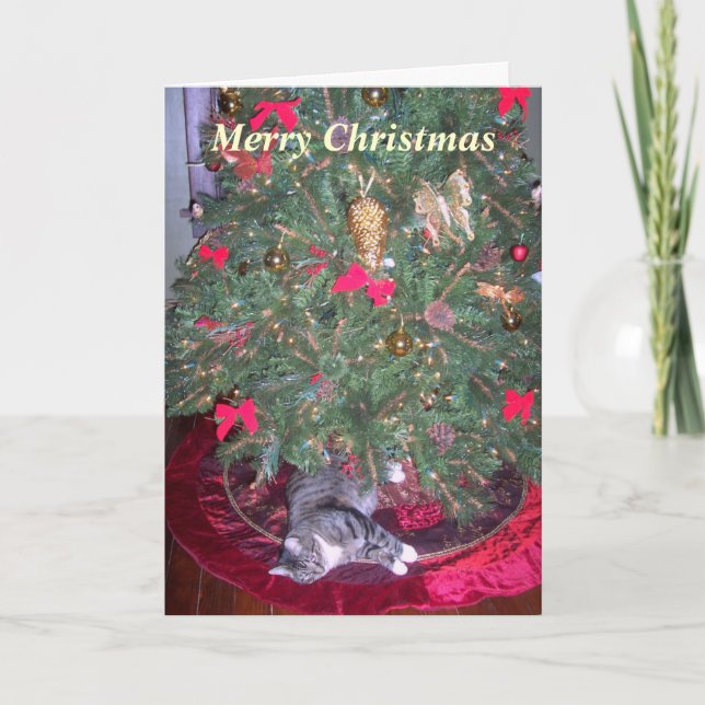 Cat Underneath The Tree Christmas Card (Front)