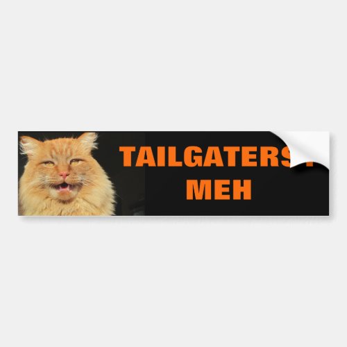 Cat unimpressed by Tailgaters Bumper Sticker