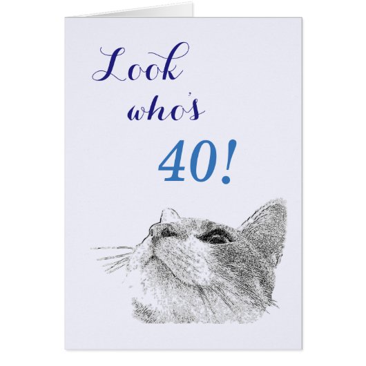 Cat Up - collector card (Front)