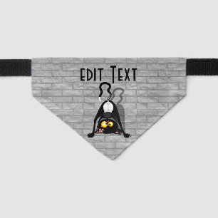 Cat Upside Down Funny Cartoon Character Pet Bandana Collar