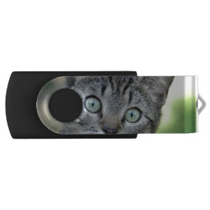 Cat USB Flash Drive