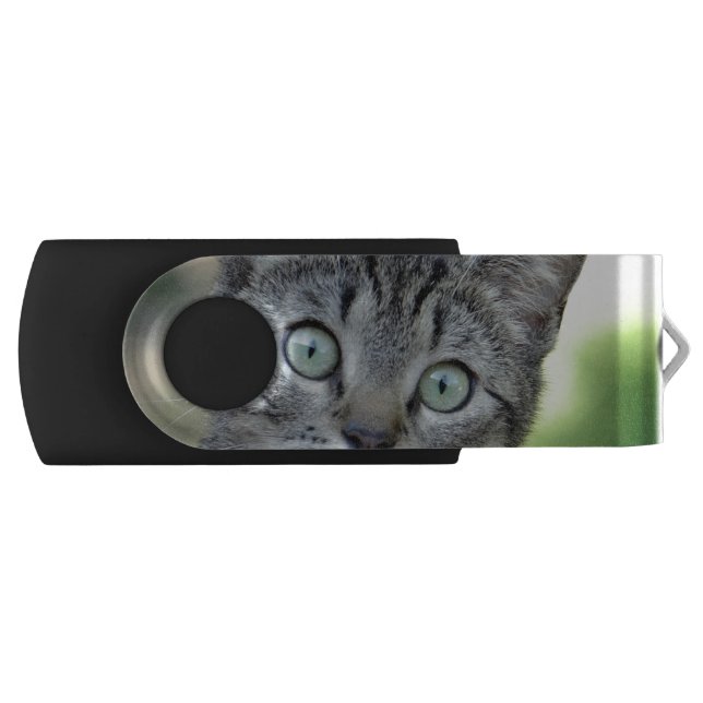 Cat USB Flash Drive (Front)