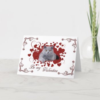 Cat Valentine Card by petsArt at Zazzle