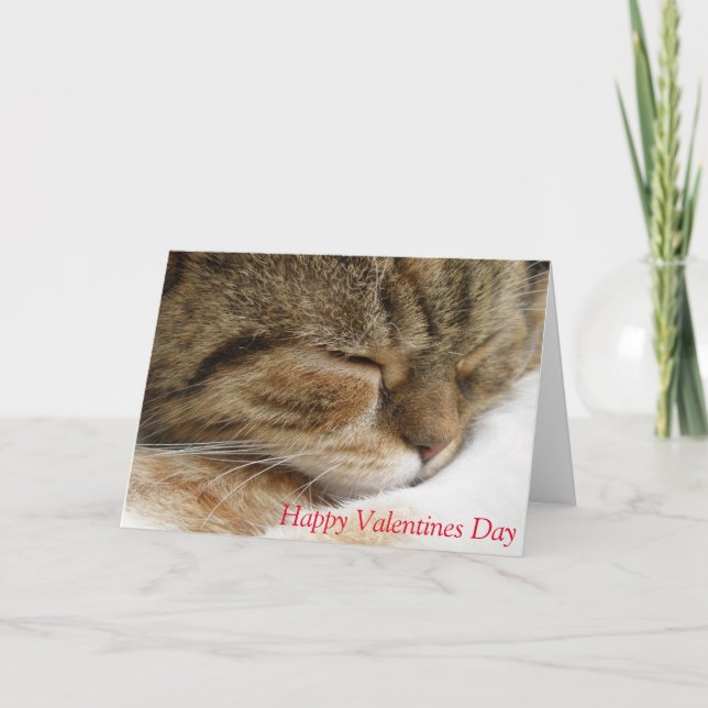 Cat valentines day card (Front)