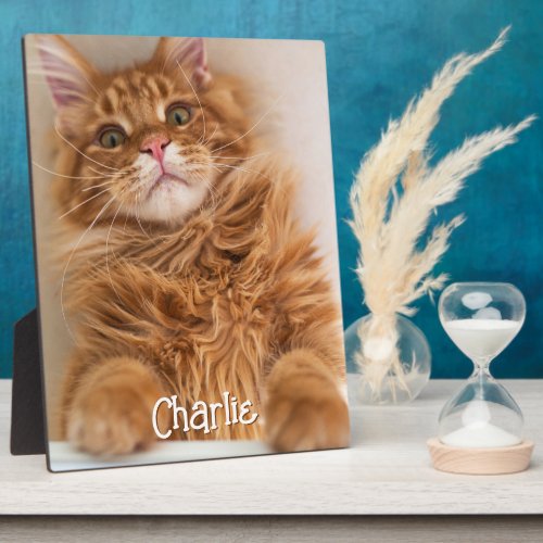 Cat Vertical Photo Cute Font Name Plaque