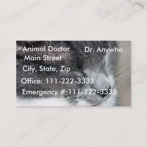 Cat Vet Profile/Business Card