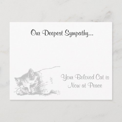 Cat Veterinarian Sympathy Postcard