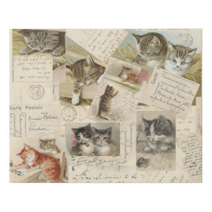 Cat Vintage French Postcard Faux Canvas Print