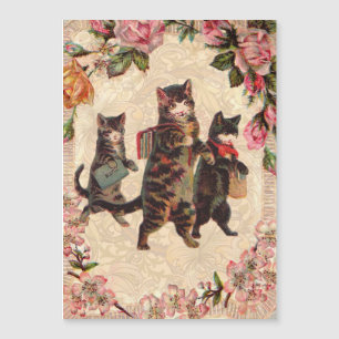 Cat Vintage Pretty Antique Kittens