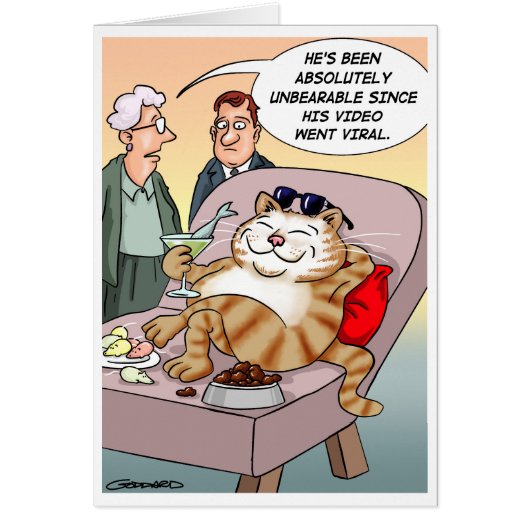 Cat Viral Video (Front)