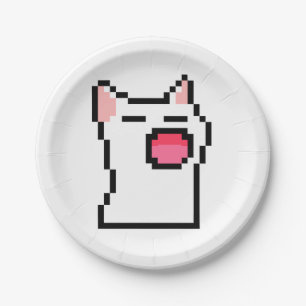 Cat w paper plates