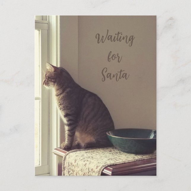 Cat Waiting For Santa Holiday Postcard (Front)