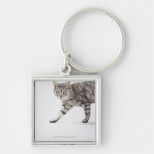 Cat walking keychain