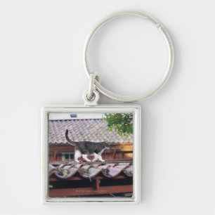 Cat walking on roof of shed keychain