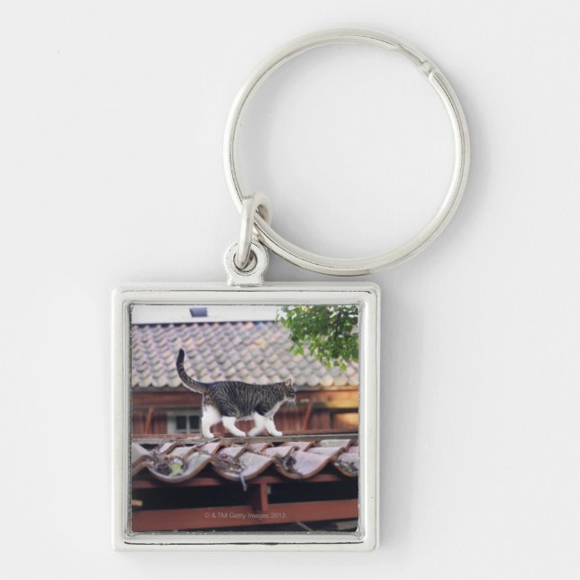 Cat walking on roof of shed keychain (Front)