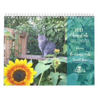 Cat Wall Calendar