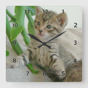 Cat Wall Clock