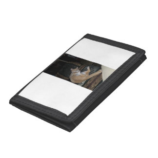 cat wallet