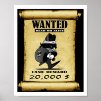 Cat Wanted Dead Or Alive Poster