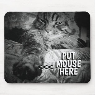 Cat wants your mouse Meme Mouse Pad