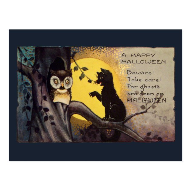 Cat Warning Owl Vintage  Halloween Postcard