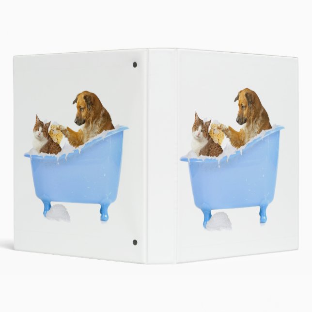 Cat Wash Binder (Background)