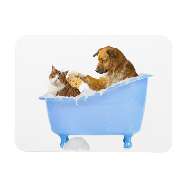 Cat Wash Magnet (Horizontal)
