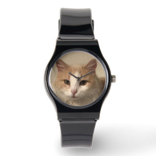 Cat Watch
