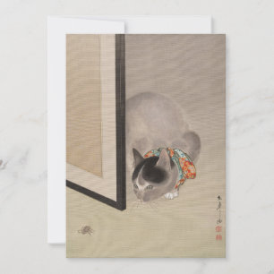 Cat Watching a Spider   Oide Tōkō