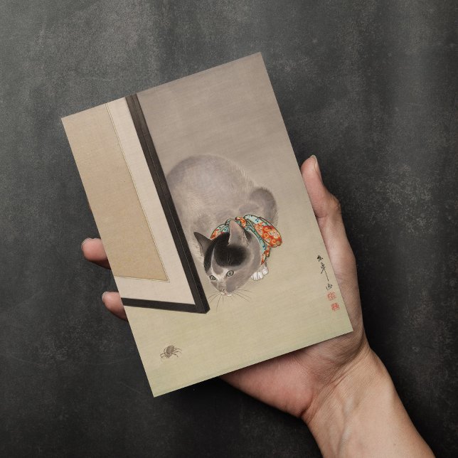 Cat Watching a Spider | Oide Tōkō Card (Creator Uploaded)