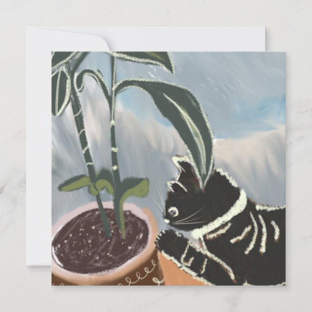 Cat Watching House Plants  Card (Front)