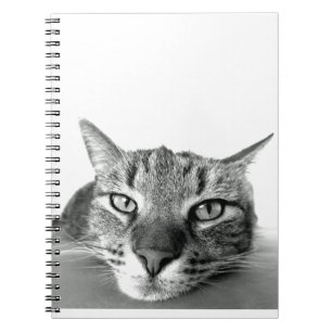 Cat Watching Notebook