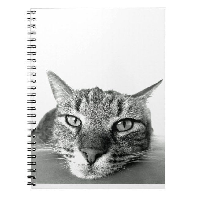 Cat Watching Notebook (Front)