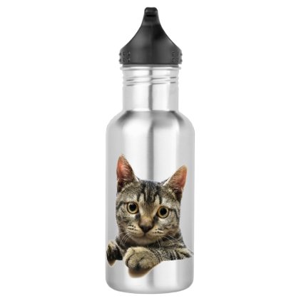 Cat Water Bottle