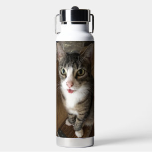 Cat water bottle