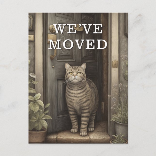 Cat We Have Moved Moving Announcement Postcard (Front)