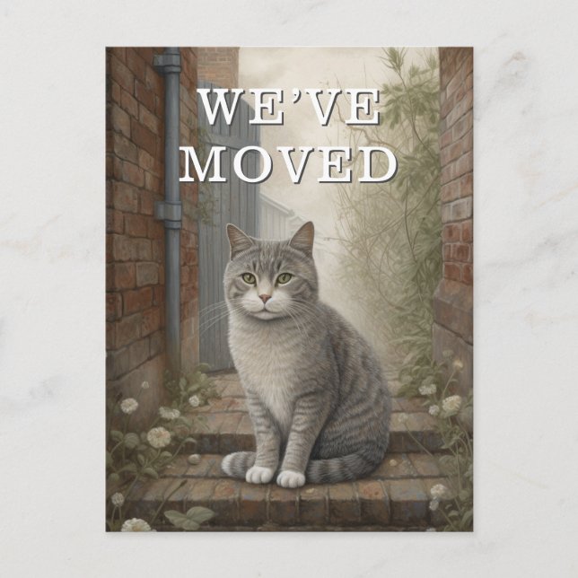 Cat We Have Moved Moving Announcement Postcard (Front)