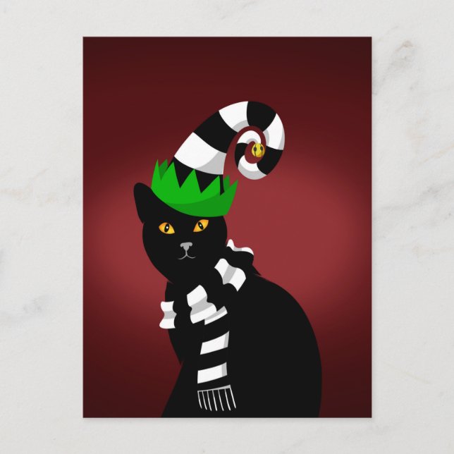 Cat wearing a Funny hat and Scarf Postcard (Front)