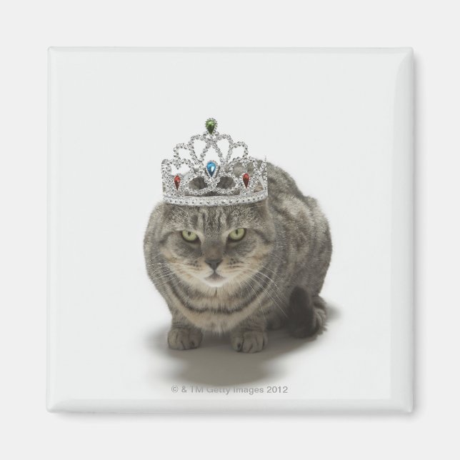 Cat wearing a tiara magnet (Front)