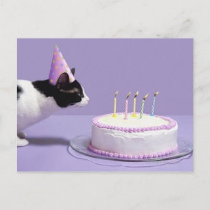Cat wearing birthday hat blowing out candles postcard
