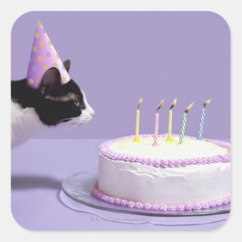 Cat wearing birthday hat blowing out candles square sticker