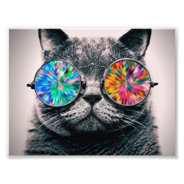 Cat wearing colored glasses photo print (Front)