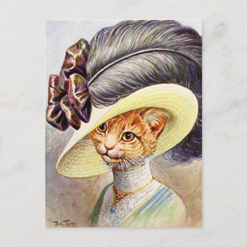 Cat Wearing Feather hat Postcard