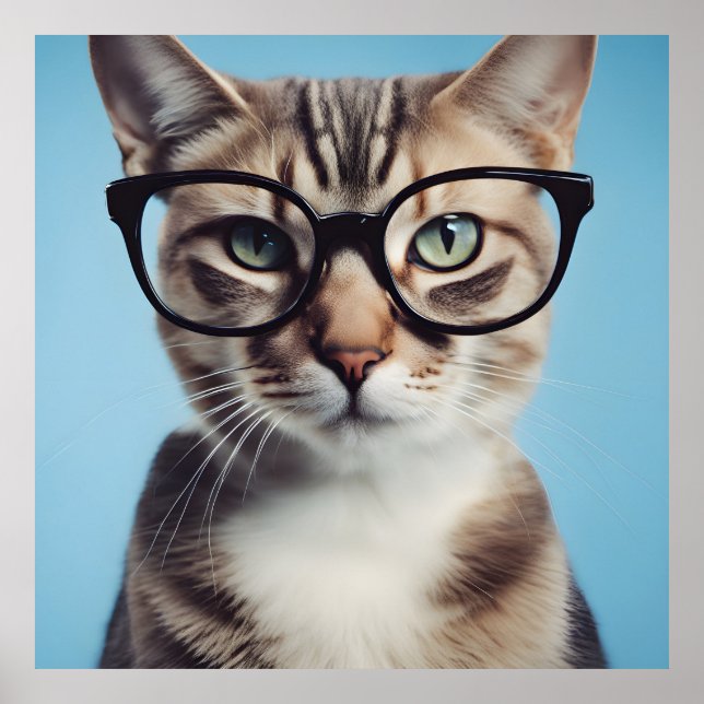 Cat Wearing Glasses Poster (Front)
