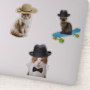 Cat Wearing Hat Sticker