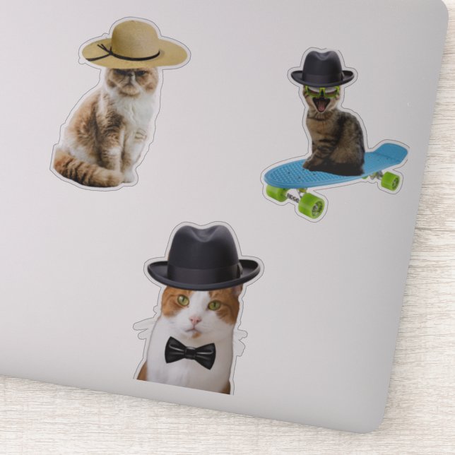Cat Wearing Hat Sticker (Detail)
